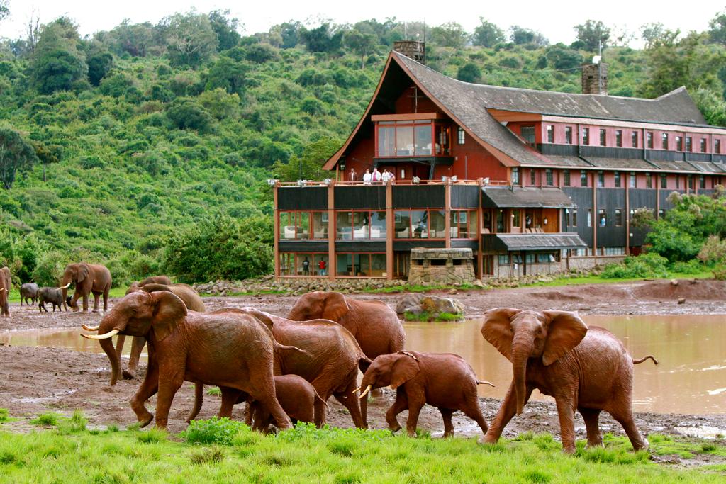 5 Day Kenya Highlights: Aberdares & Masai Mara